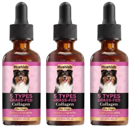 Hushlab Probiotic Collagen, three bottles